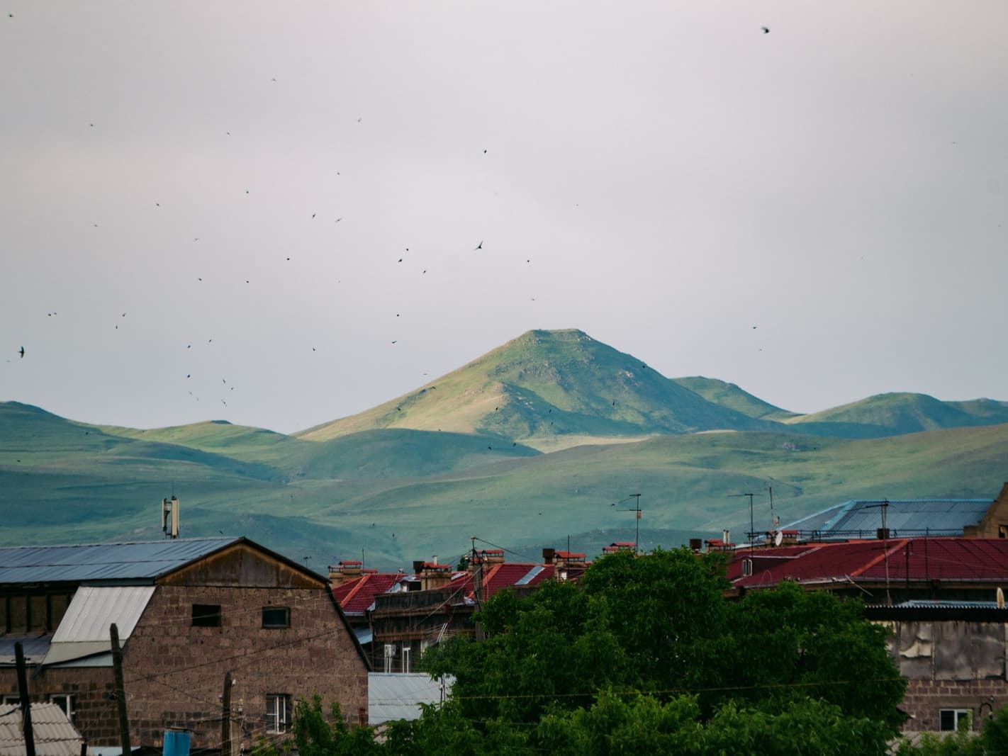 Гора Цицкар (Шиштепе) и рой ласточек.